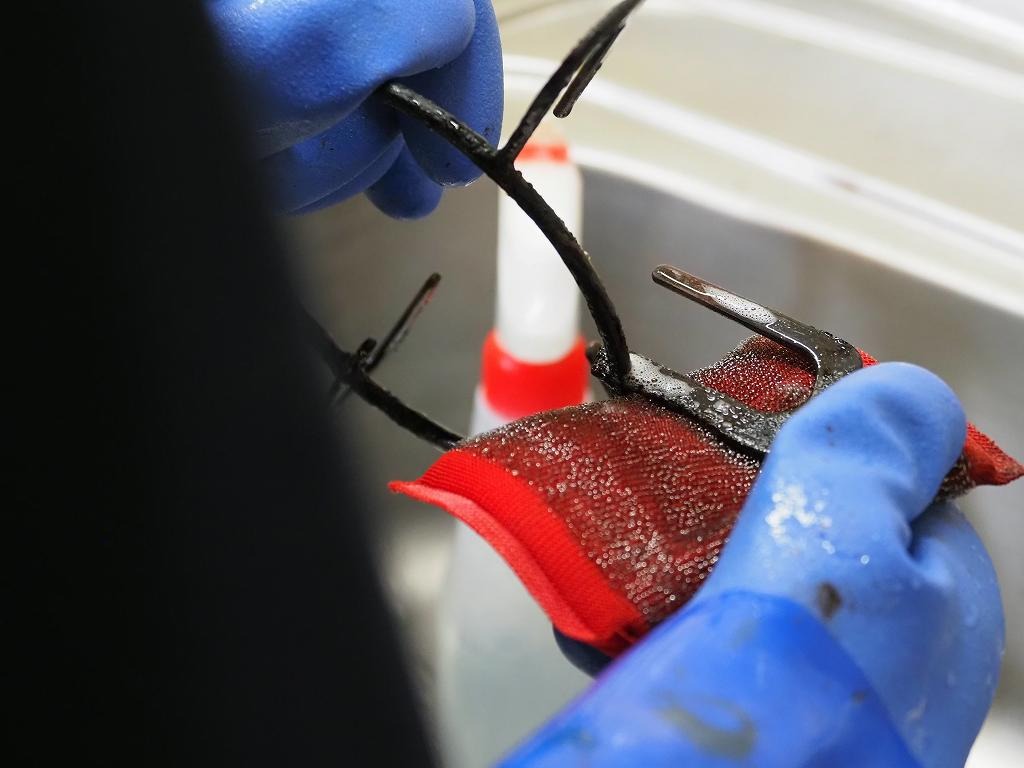 清掃業者をお探しの方必見！